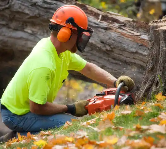 tree services Barnum Island